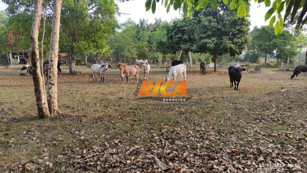 Fazenda, 25 hectares - Foto 10