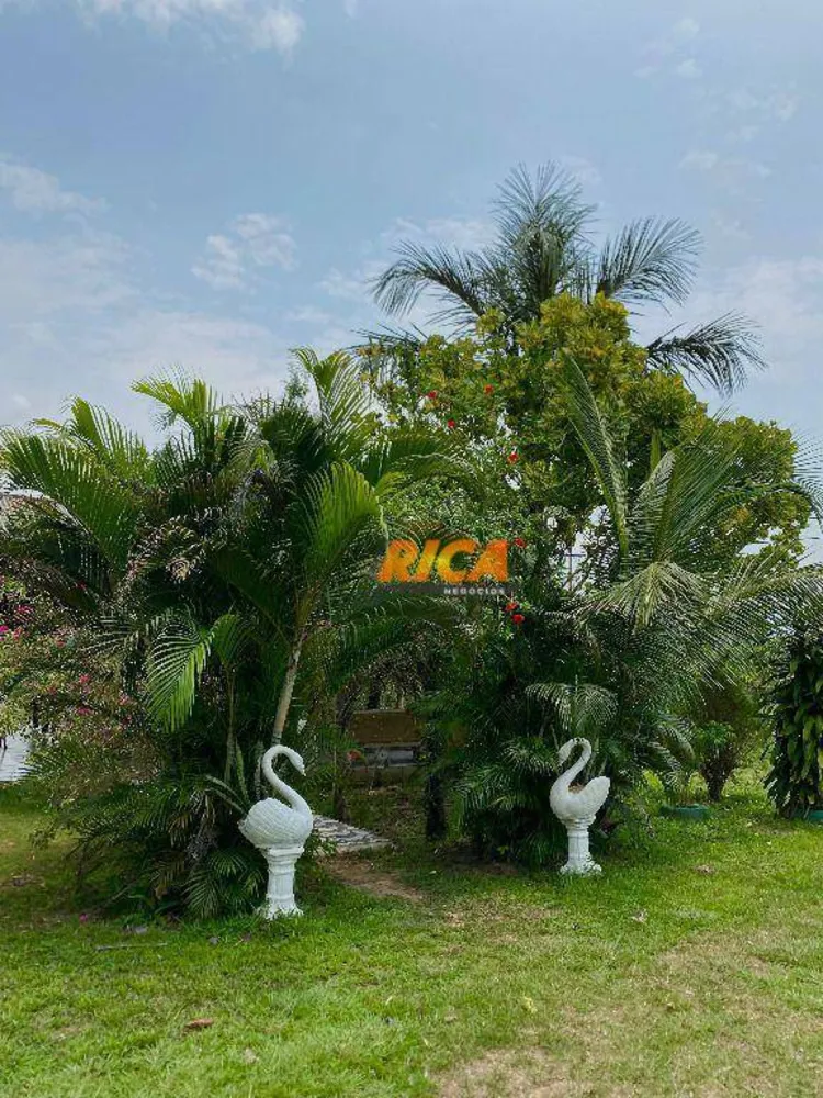 Chácara, 10000 m² - Foto 6