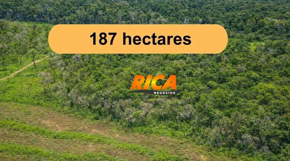 Fazenda, 187 hectares - Foto 2