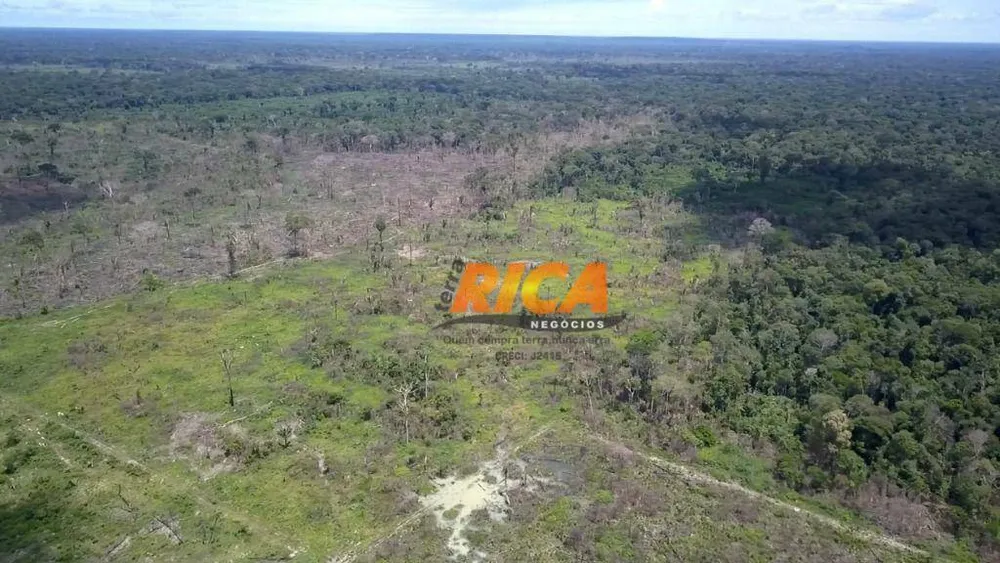 Fazenda, 200 hectares - Foto 10