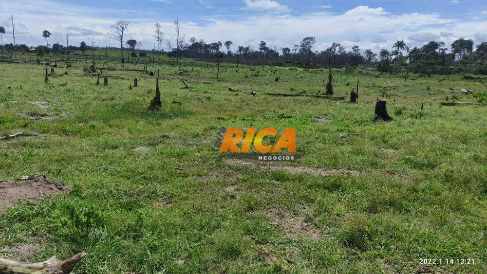 Fazenda, 200 hectares - Foto 6