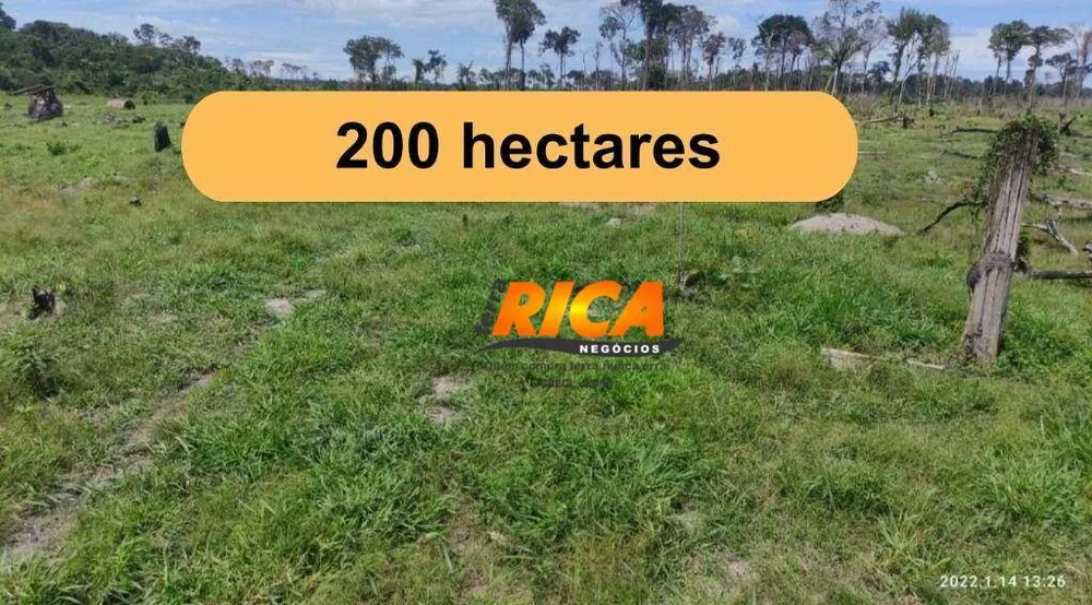 Fazenda, 200 hectares - Foto 1