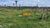 Fazenda, 200 hectares - Foto 4