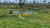 Fazenda, 200 hectares - Foto 1