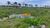 Fazenda, 200 hectares - Foto 2