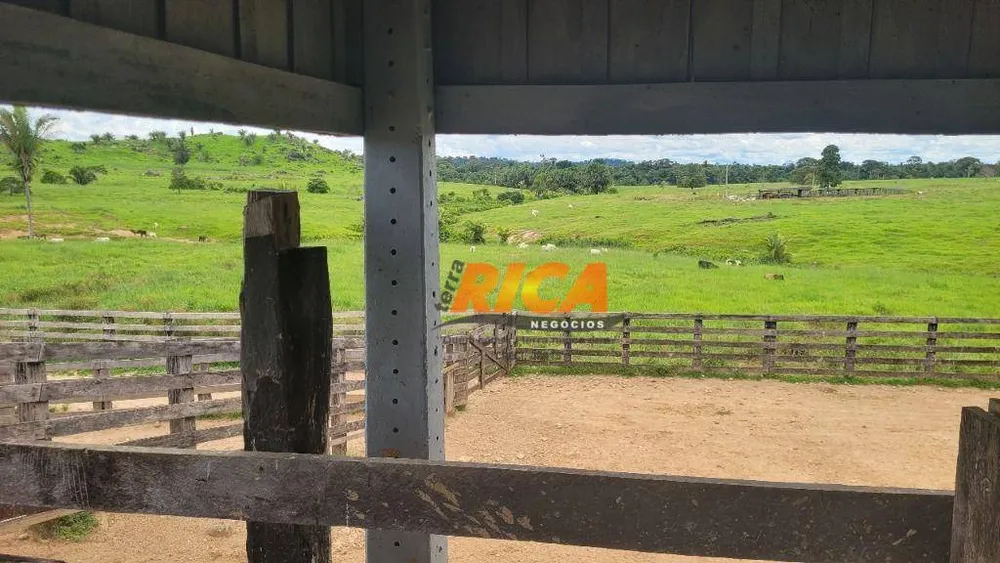 Fazenda, 1550 hectares - Foto 4