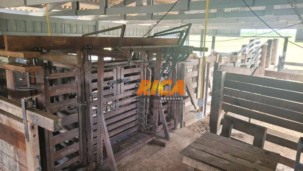 Fazenda, 1550 hectares - Foto 11