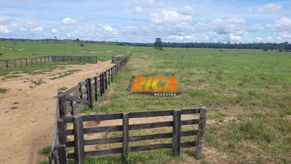 Fazenda, 1550 hectares - Foto 9