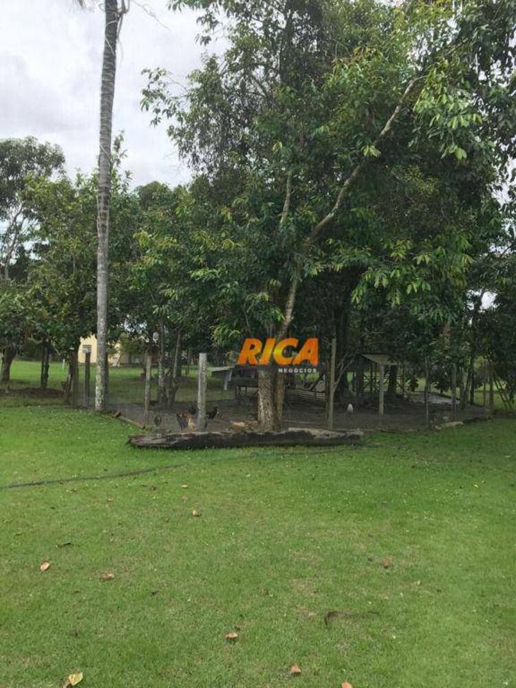 Chácara, 4 hectares - Foto 23
