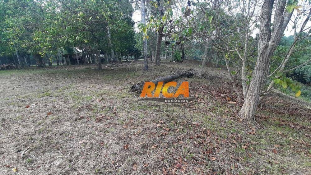Chácara, 4 hectares - Foto 10