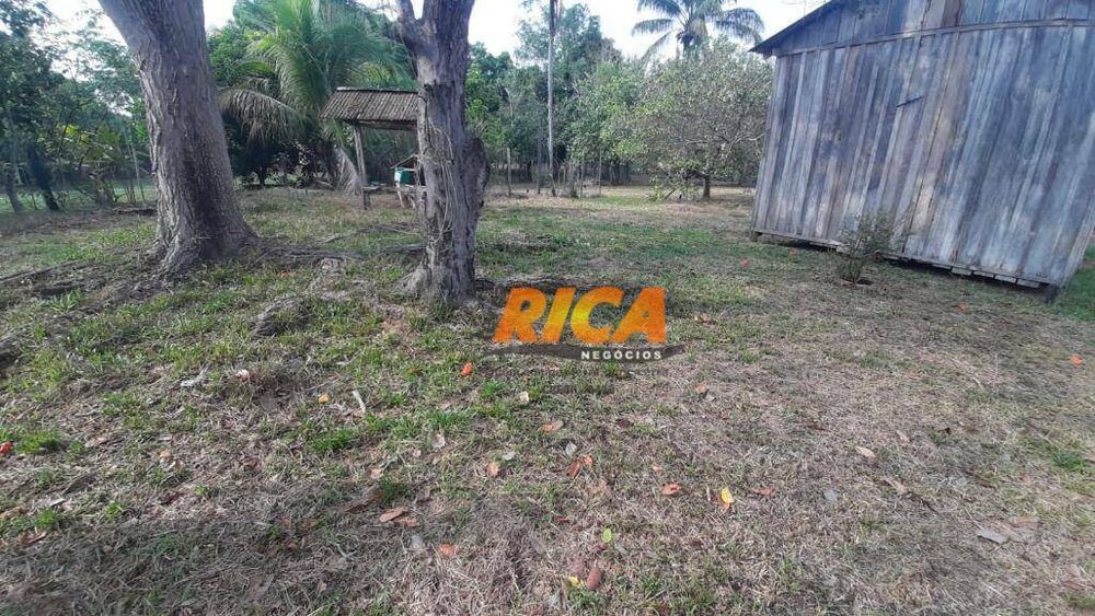 Chácara, 4 hectares - Foto 13
