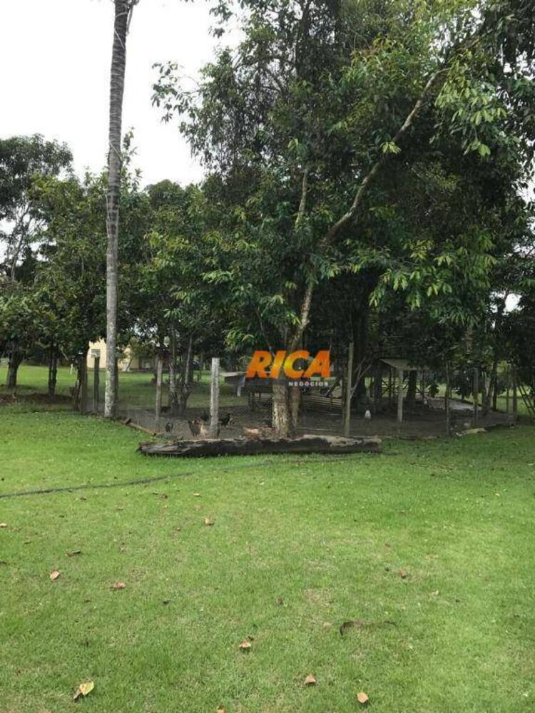 Chácara, 4 hectares - Foto 22