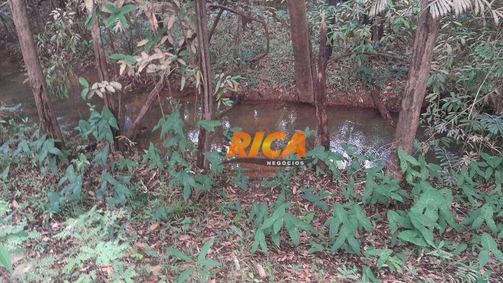 Chácara, 4 hectares - Foto 9