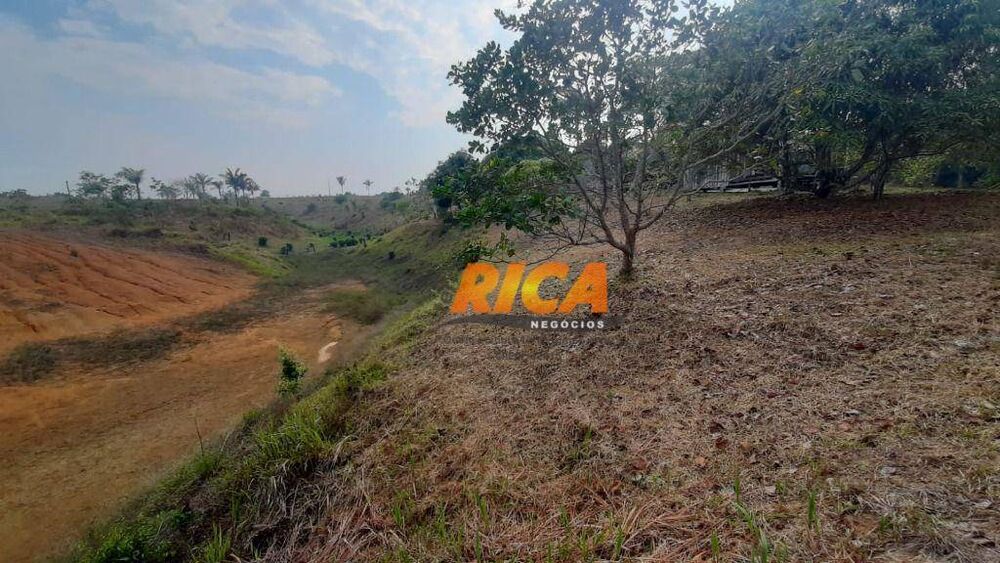 Chácara, 4 hectares - Foto 15