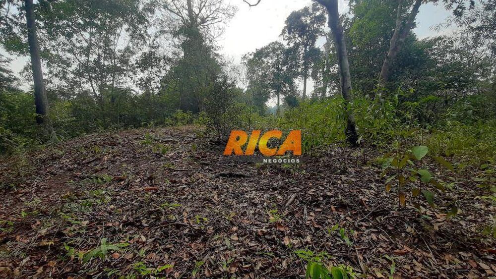 Chácara, 4 hectares - Foto 5