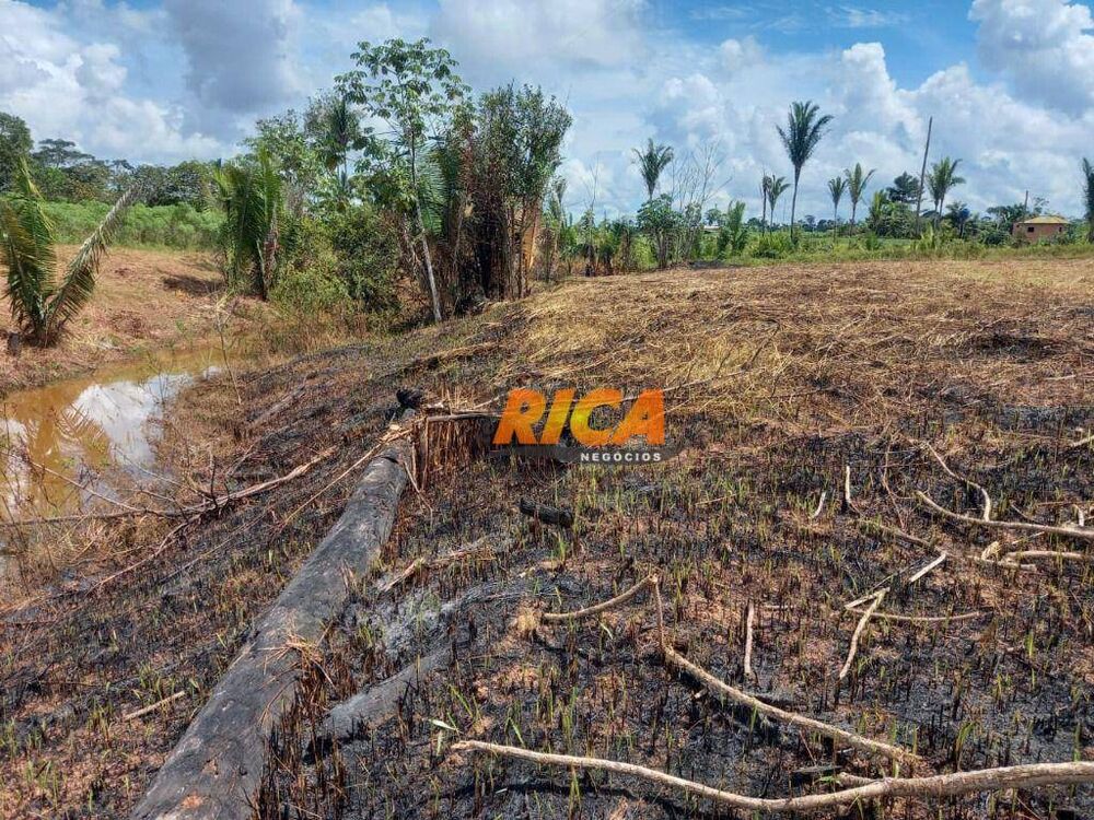 Fazenda, 5000 m² - Foto 4