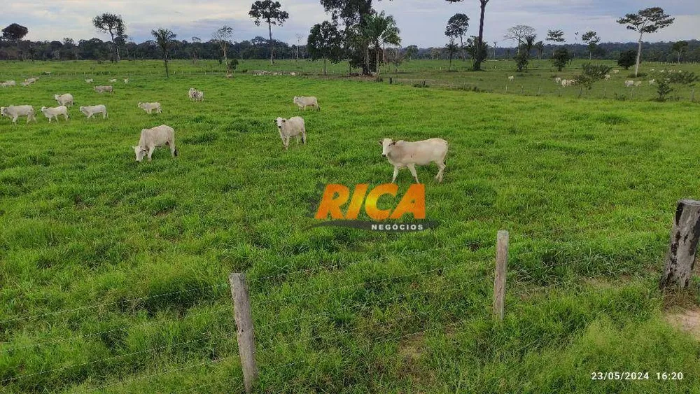 Fazenda, 406 hectares - Foto 10