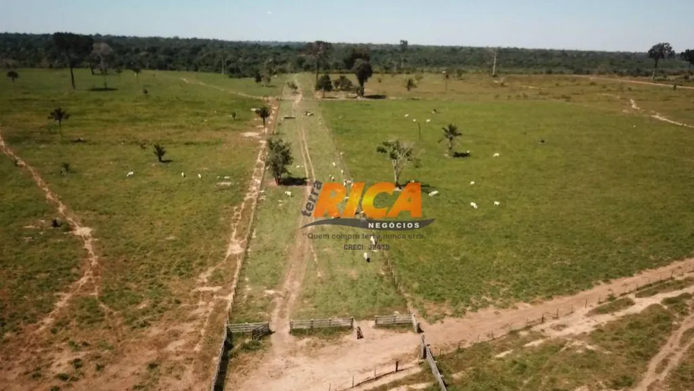 Fazenda, 406 hectares - Foto 12