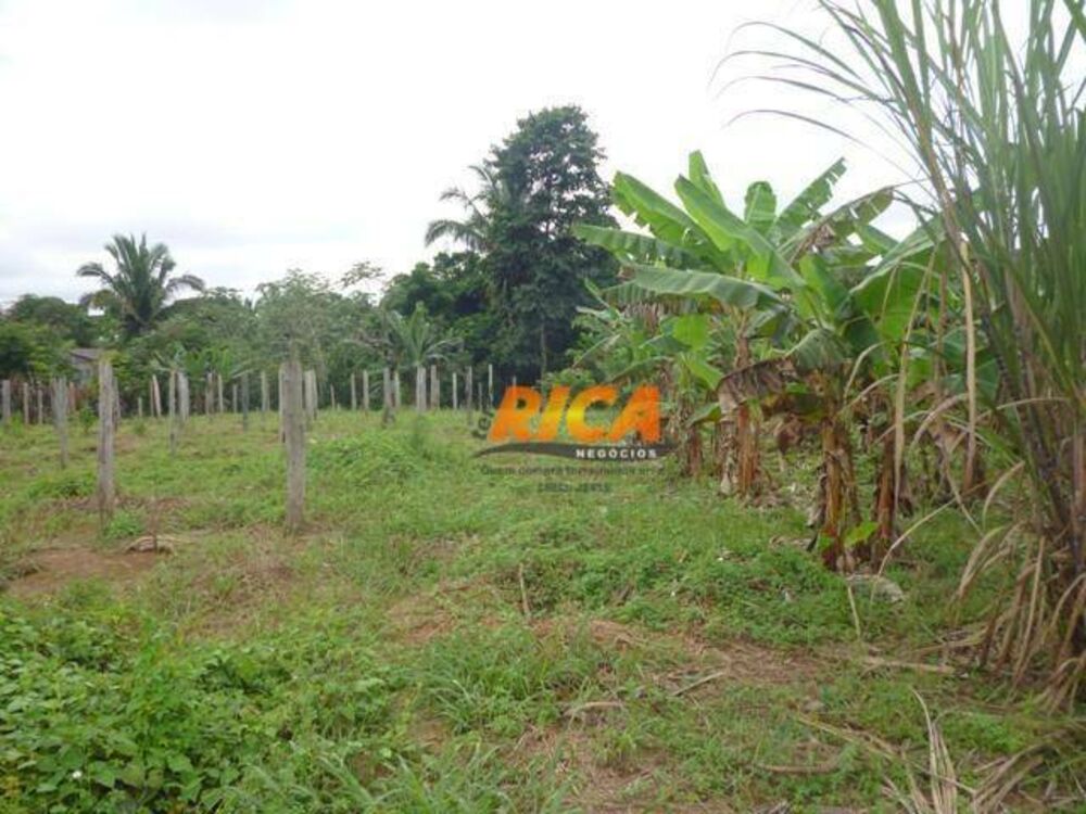 Chácara à venda com 3 quartos, 5800M2 - Foto 3