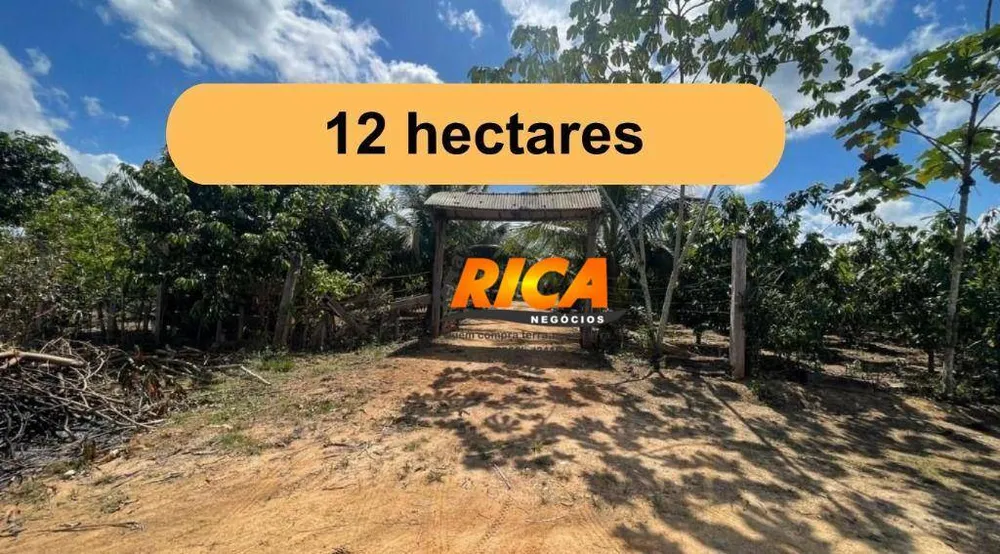 Chácara, 2 quartos, 12 hectares - Foto 3