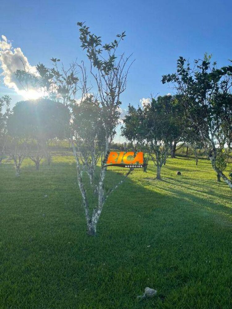 Chácara, 2 quartos, 13 hectares - Foto 10