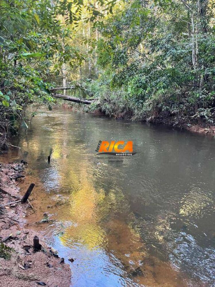 Chácara, 2 quartos, 13 hectares - Foto 14