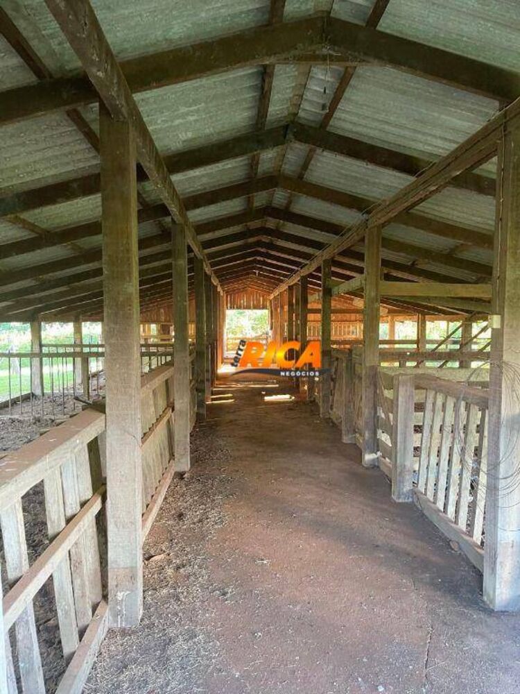 Chácara, 2 quartos, 13 hectares - Foto 17