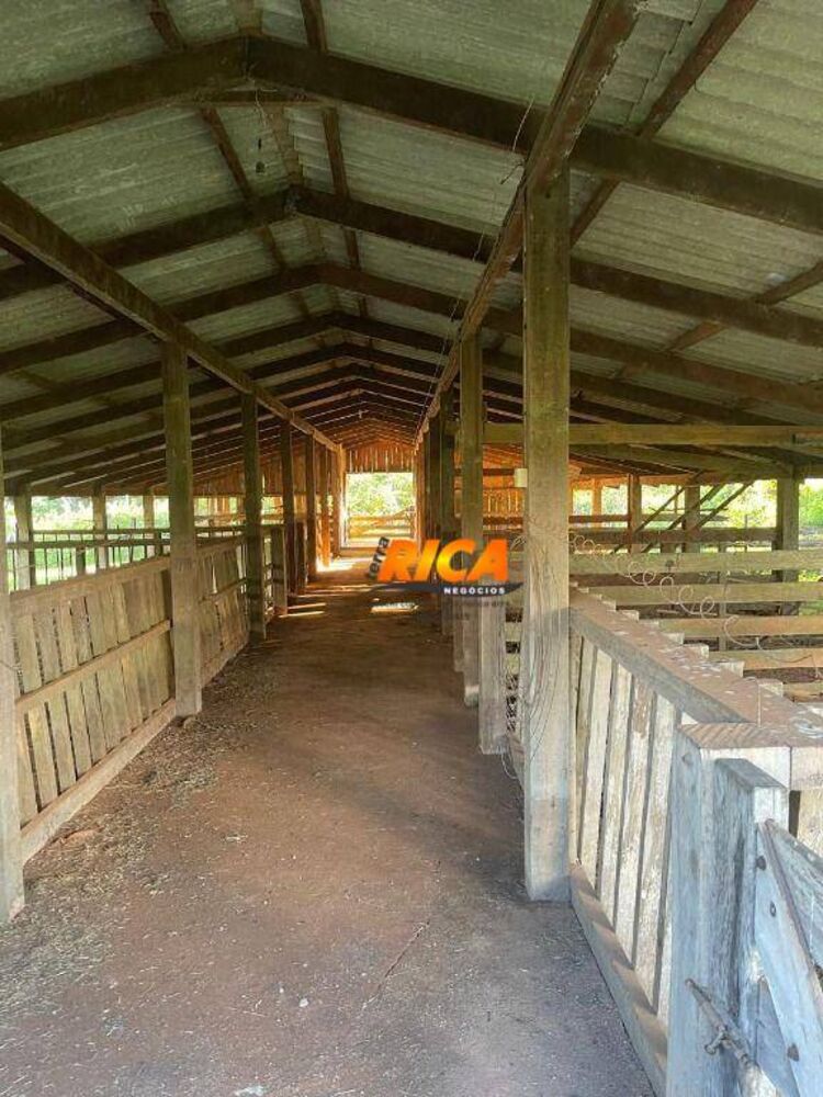 Chácara, 2 quartos, 13 hectares - Foto 19