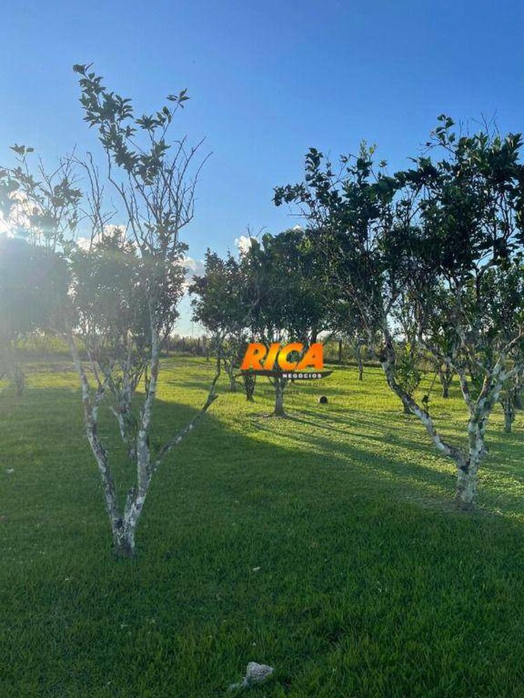 Chácara, 2 quartos, 13 hectares - Foto 9