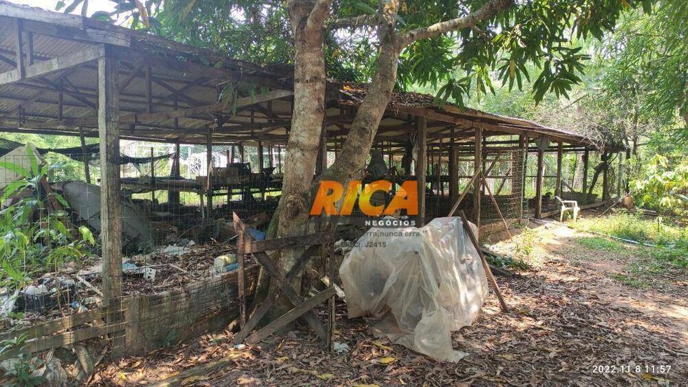 Sítio, 50 hectares - Foto 4