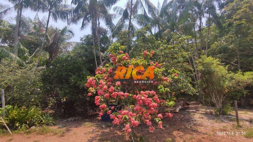 Sítio, 50 hectares - Foto 3