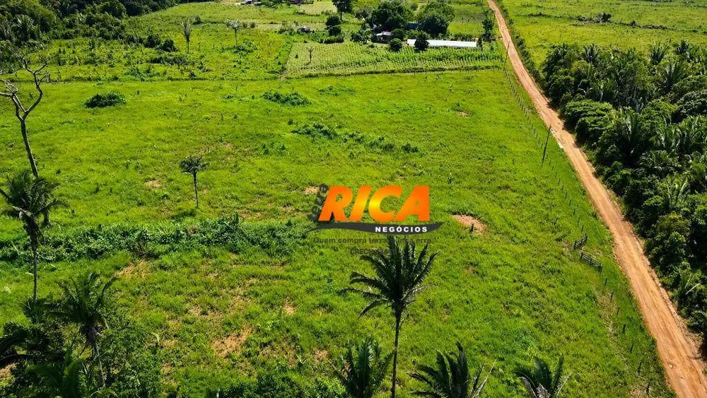 Fazenda, 200 hectares - Foto 7