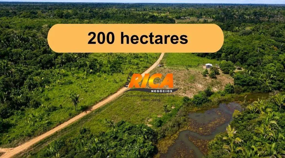 Fazenda, 200 hectares - Foto 4