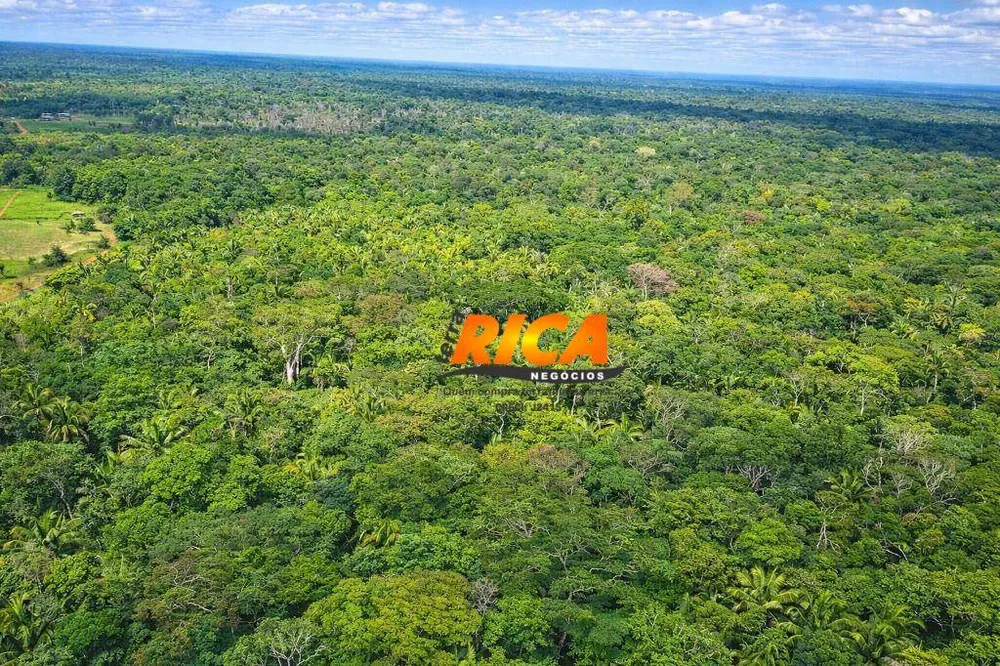 Fazenda, 200 hectares - Foto 1