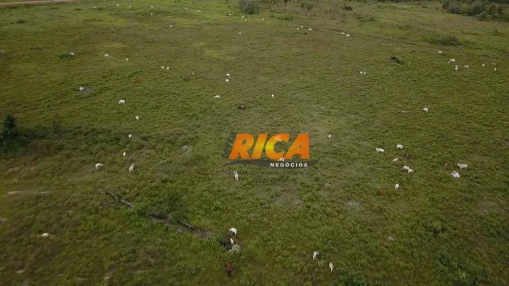 Fazenda, 968 hectares - Foto 4
