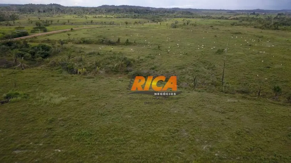 Fazenda, 968 hectares - Foto 9