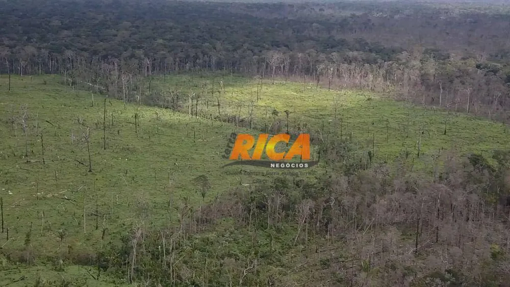 Fazenda, 968 hectares - Foto 10