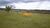Fazenda, 968 hectares - Foto 4