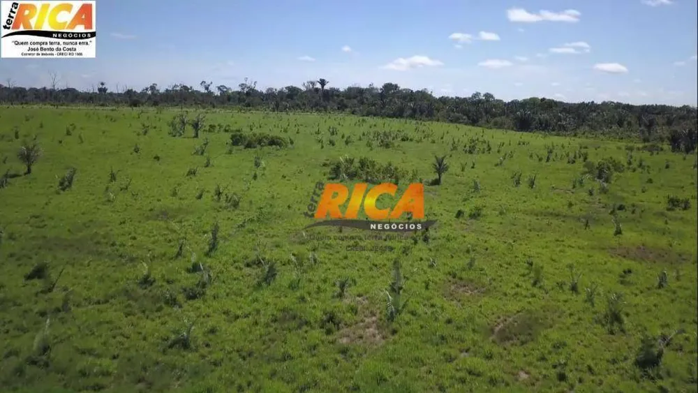 Fazenda, 460 hectares - Foto 8