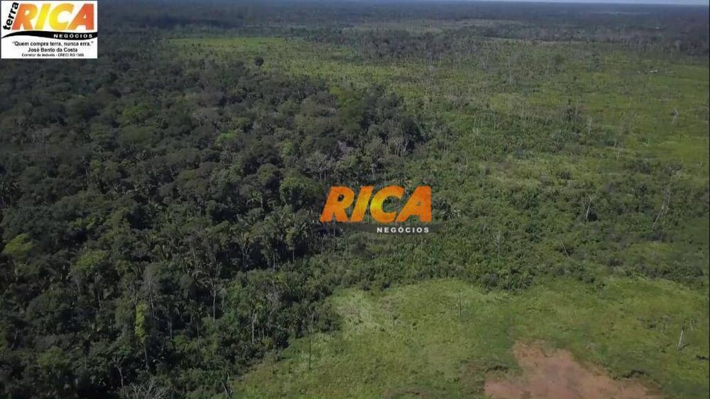 Fazenda, 460 hectares - Foto 4