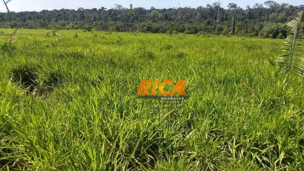 Fazenda, 460 hectares - Foto 3