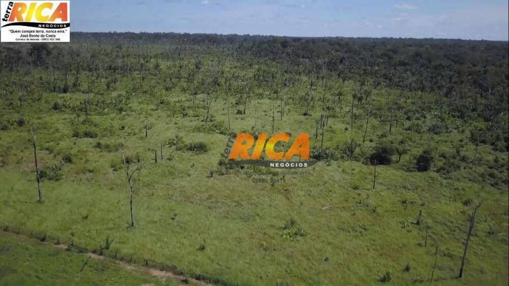 Fazenda, 460 hectares - Foto 2