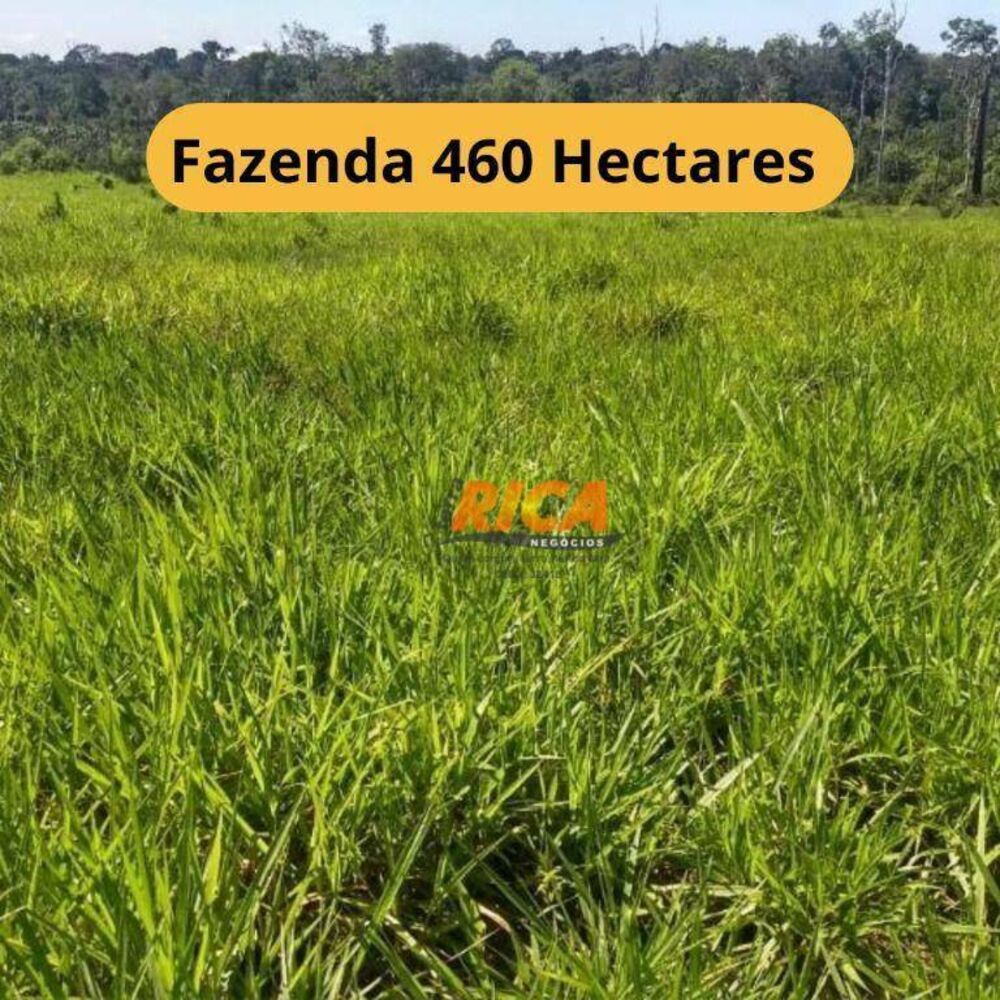 Fazenda, 460 hectares - Foto 1