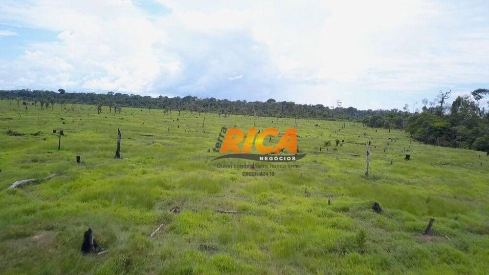 Fazenda, 188 hectares - Foto 4