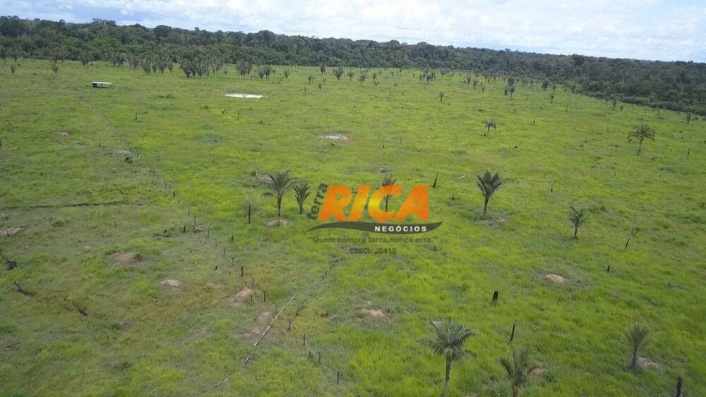 Fazenda, 188 hectares - Foto 3