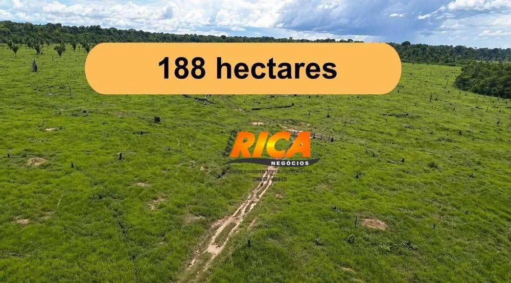 Fazenda, 188 hectares - Foto 7