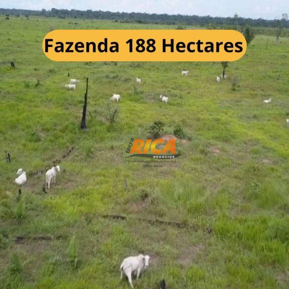 Fazenda, 188 hectares - Foto 2