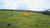 Fazenda, 188 hectares - Foto 4