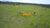Fazenda, 188 hectares - Foto 3