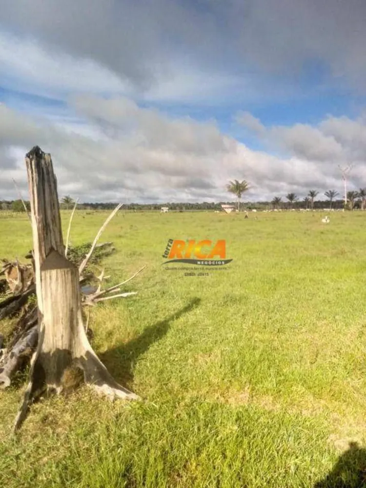 Fazenda, 1406 hectares - Foto 7
